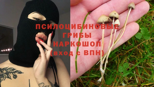 соль курить ск Новозыбков